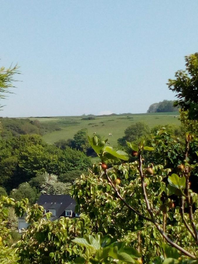 12 Impasse Damilaville Étretat Extérieur photo